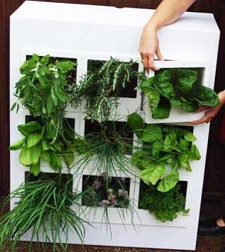How to Create Unique DIY Small Space Indoor Gardens