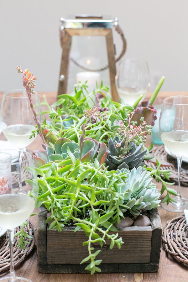 DIY Succulent Centerpiece