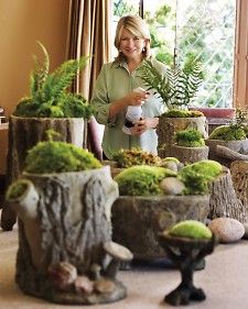 cut logs, drill out with a hole saw, plant mosses and ferns, and place in a shady garden nook for an instant old-world charm. YES!