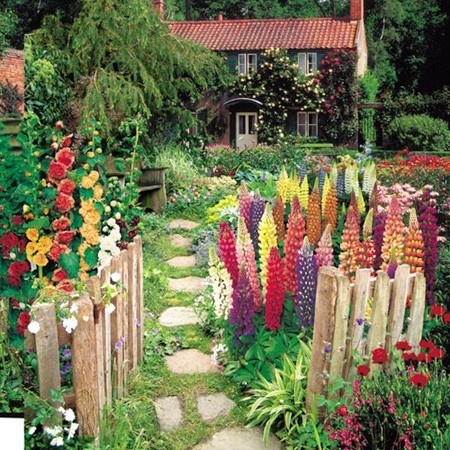 All colors go together in a cottage garden!  It looks like they just ordered a sampler pack, lol!