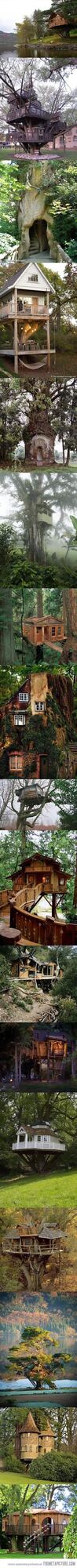 I need a grownup tree house…