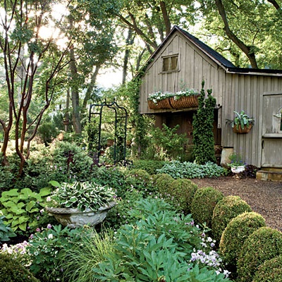love the setting & the shed.