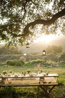 in the garden….amazing