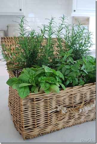 Pot a few of your favorite herbs in a lovely basket.