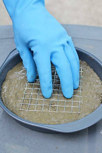 DIY   Stepping Stones.i like this one the best