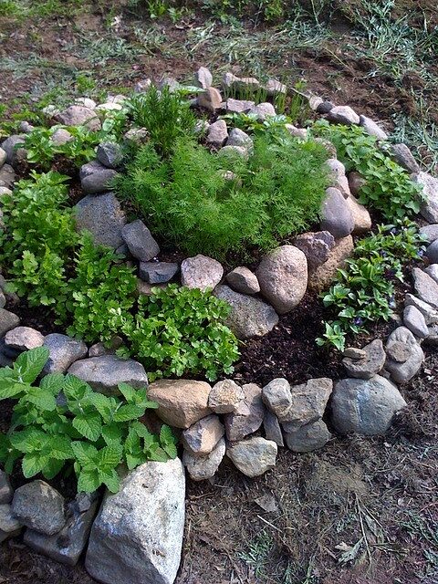 Spiral Herb Garden