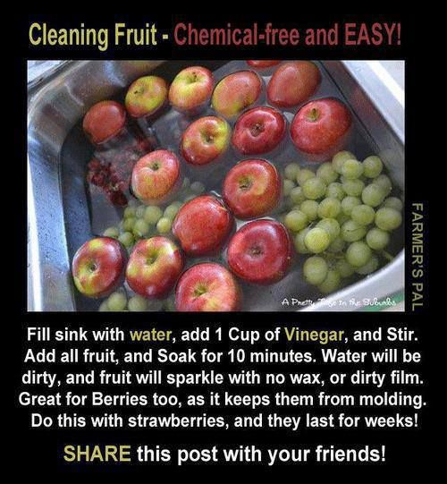 Vinegar