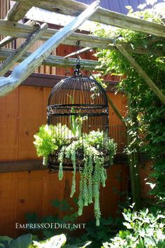 16+ More Creative Garden Container Ideas