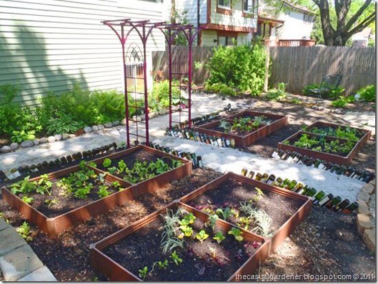 Shade Vegetable Garden     ….     stores.ebay.ca/THESEEDHOUSE