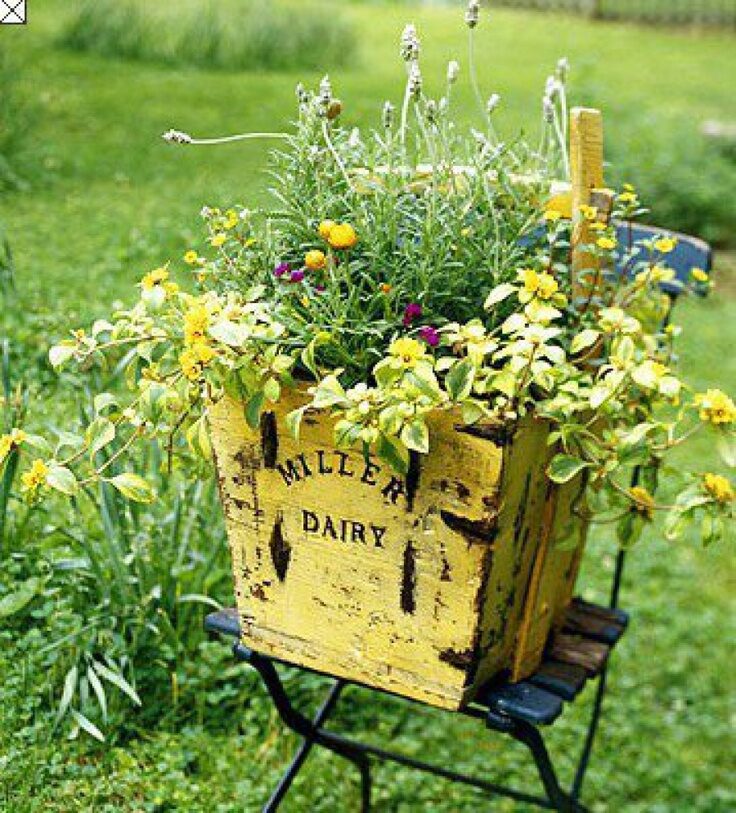 A sunny yellow dairy crate holds like colored flowers. By Debbie McMurry