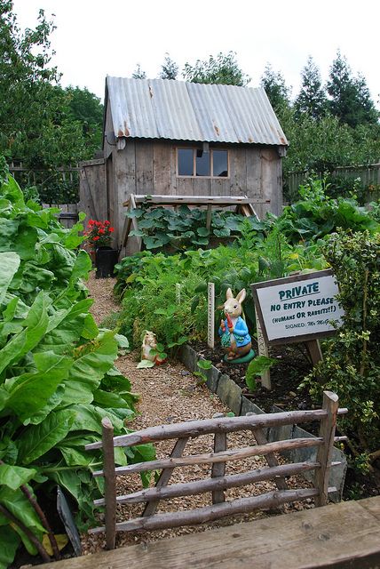 Mr McGreggor’s Garden.