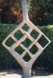 Axel Erlandson (December 15, 1884 – April 28, 1964) was a Swedish American farmer who shaped trees as a hobby, and opened a horticultural attraction in 1947 advertised as “See the World’s Strangest Trees Here,” and named “The Tree Circus.”    The trees appeared in the column of Robert Ripley’s Believe It or Not! twelve times. Erlandson sold his attraction shortly before his death. The trees were moved to Gilroy Gardens in 1985.