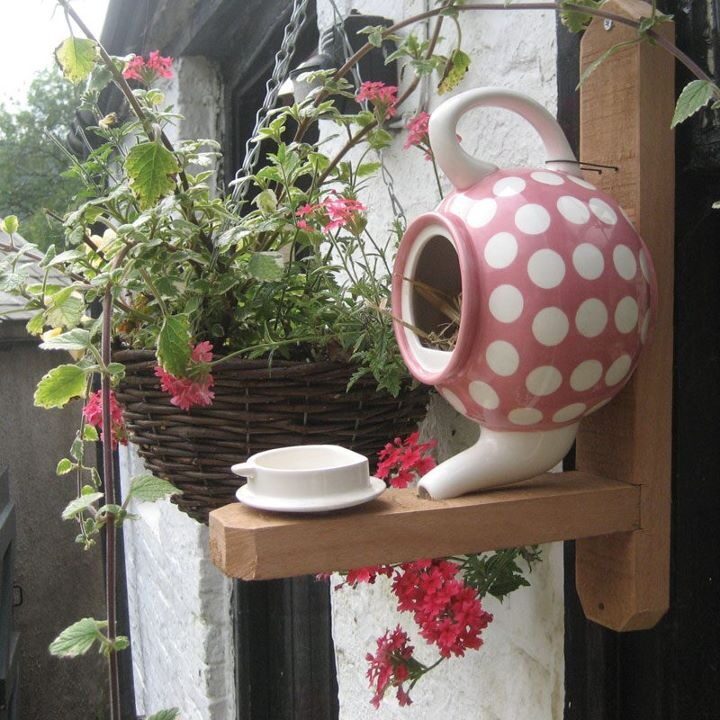 For the birds!