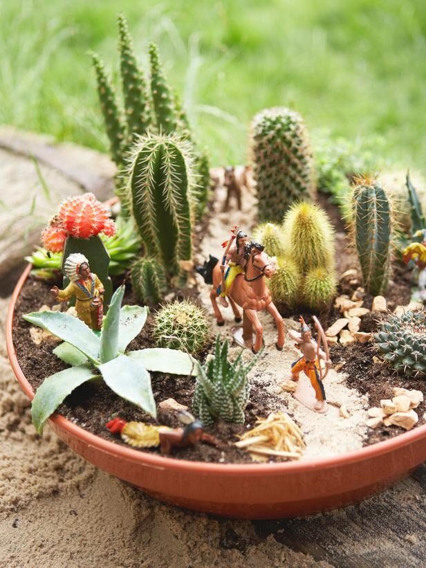 How to Plant a Cactus Container Garden