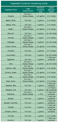 Container Gardening