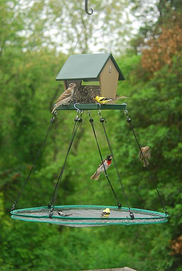 Bird feeder with catch net