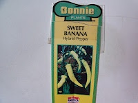 Pepper Sweet Banana ( How To Grow )