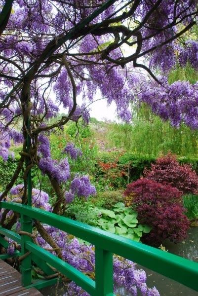 Monet’s Garden – Giverny, France