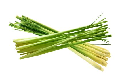 How to Grow Lemongrass