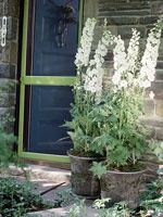How to use recycle containers for plants