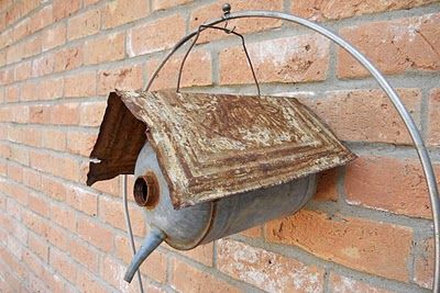 rather cute for an old watering can that leaks, and a tin plate roof