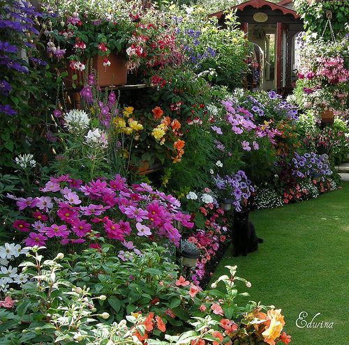 Oh so lovely!!!!!