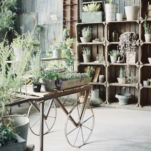 gardening