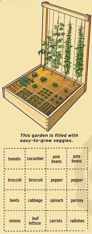 Time to start planting again…. will be doing this instead of traditional in the ground garden :)