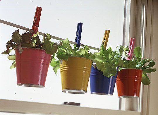 out or inside herb garden idea! super cute dollar store project.