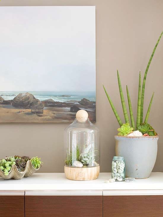 Greenhouse Effect #houseplants #indoorgardening