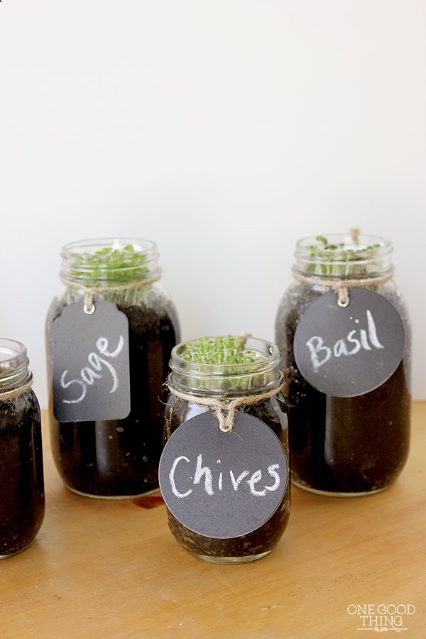 Make an indoor Mason Jar Herb Garden!