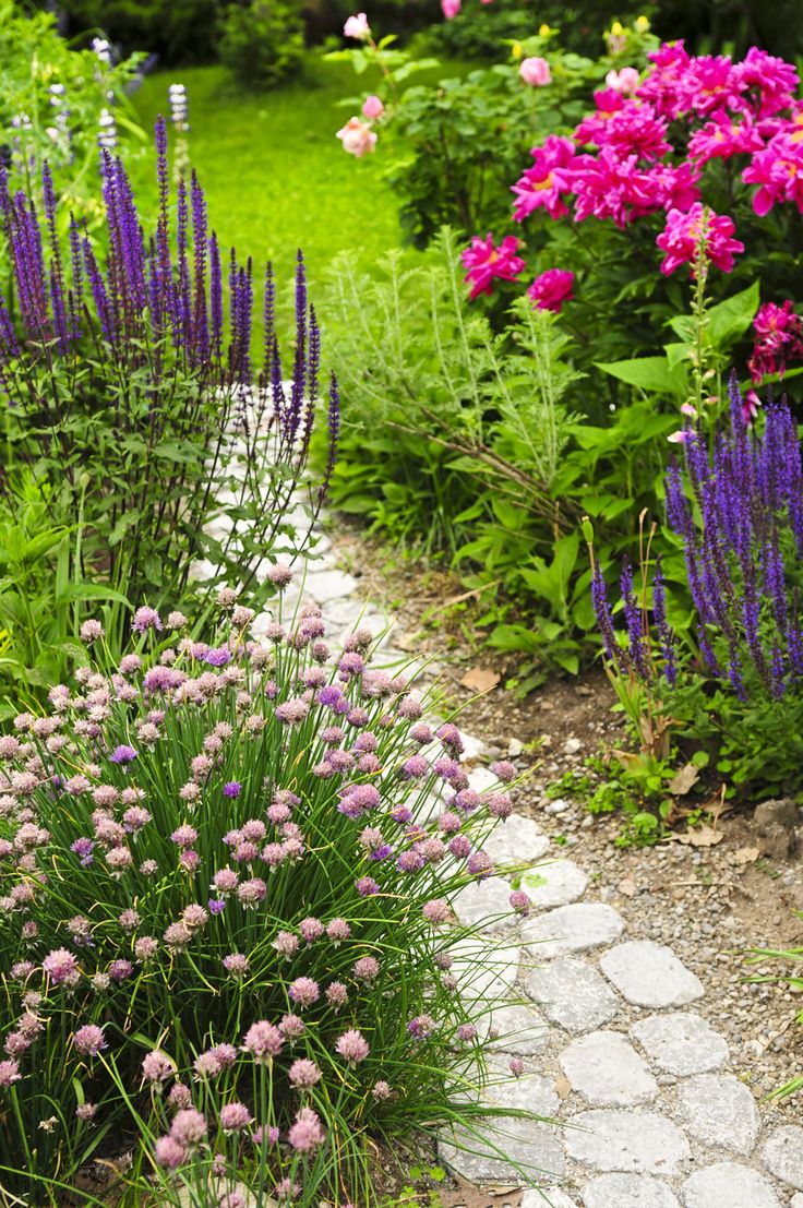 Beautiful garden path