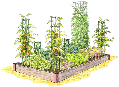 Great site where you can design your own garden beds by clicking and dragging the plants you want, where you want them. Then you can print your planting map WITH very detailed planting directions.