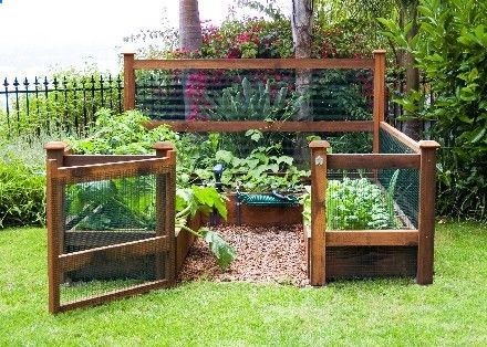 Great set up for a veggie garden, blocked from the dog or other animals.