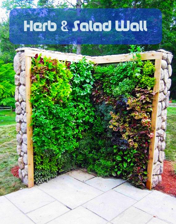 Herb and Salad Wall