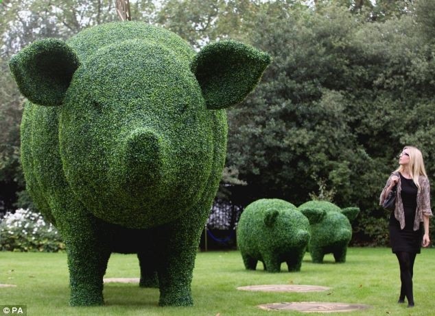 Close to the hedge: One of the garden party guests admires the giant topiary sow