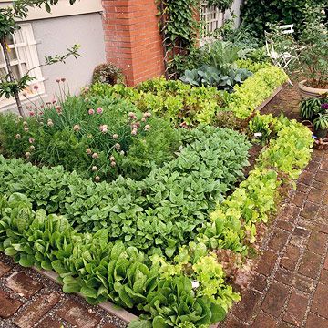 Patio Vegetable Garden plan from BHG