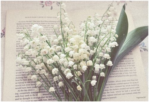 lilly of the valley ♥