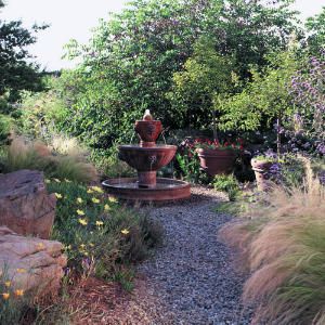 San Joaquin Valley xeriscape
