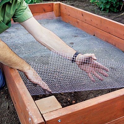 How to make a raised bed garden