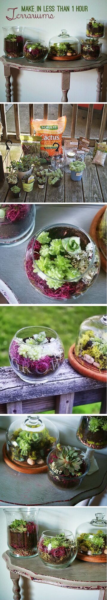 how to make a terrarium