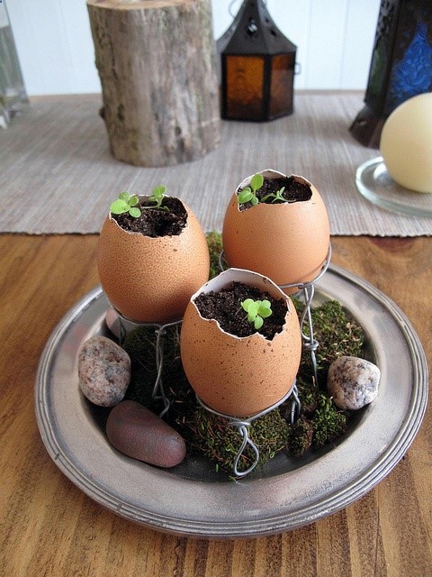 seedlings