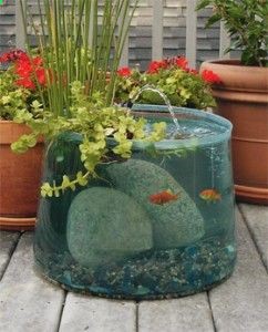 I want one of these