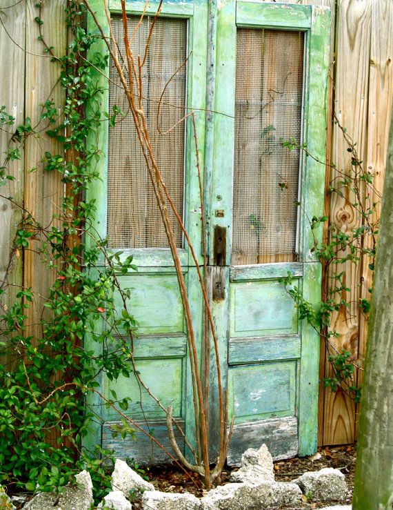 Great idea against backyard fence
