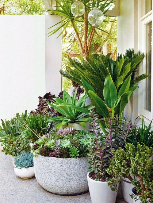 Green in the corner