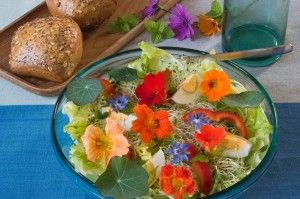 Edible Flowers: 42 Varieties to Add to Your Garden