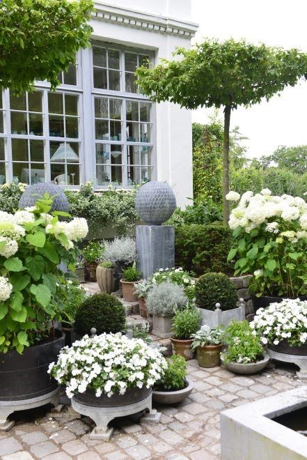 Formal white garden