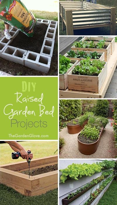 DIY Raised Garden Beds  Ideas  Tutorials!
