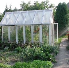 DIY Greenhouse with pvc pipes