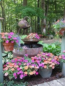 shade garden…